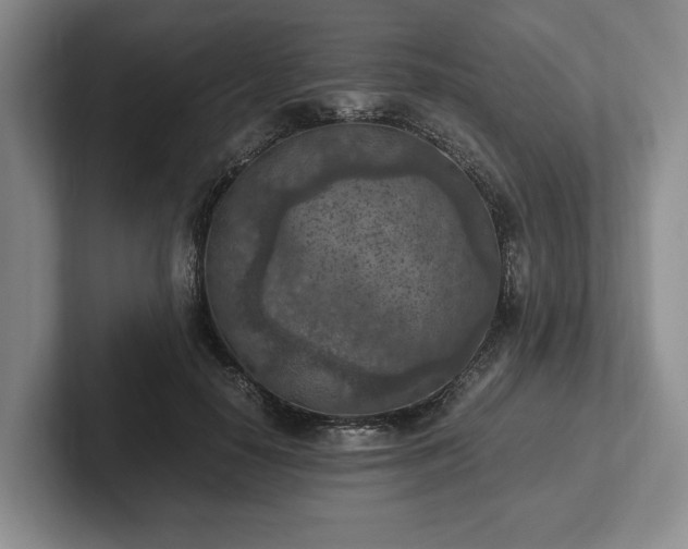 X0000102390650200808081228