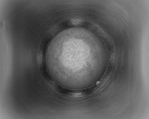 X0000102390651200808081228