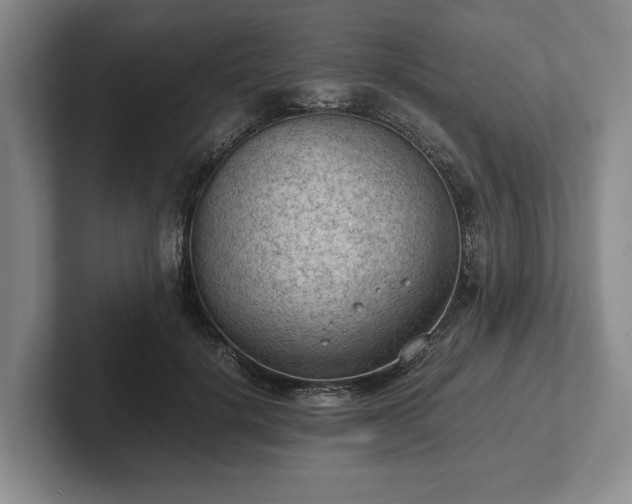 X0000102390652200808081228