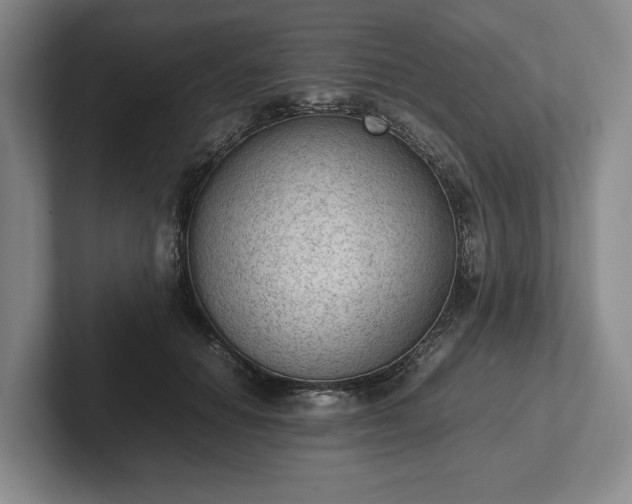 X0000102390654200808081228