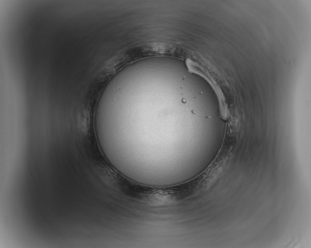 X0000102390656200808081228