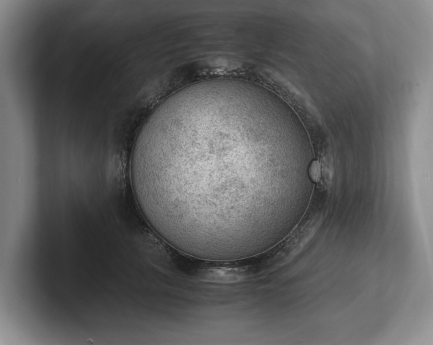 X0000102390657200808081228