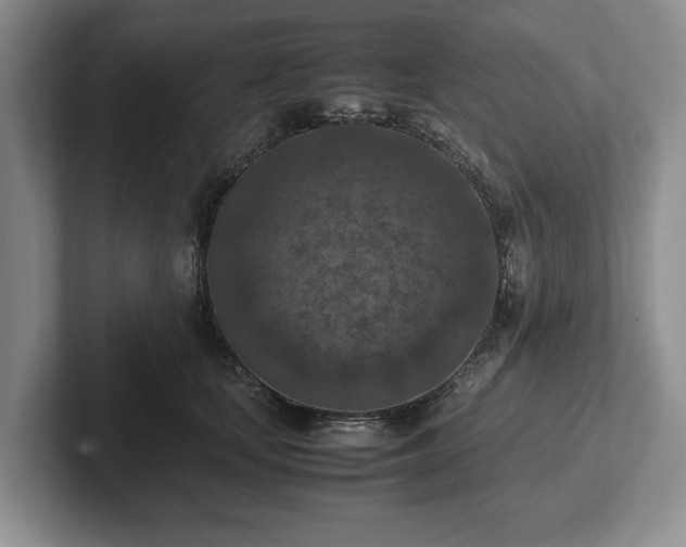 X0000102390659200808081228