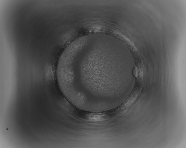 X0000102390661200808081228