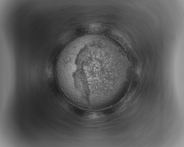 X0000102390663200808081228