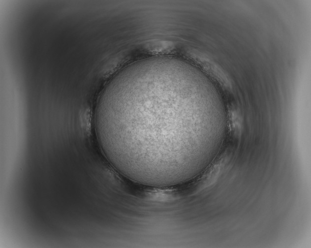 X0000102390664200808081228