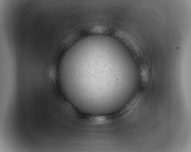 X0000102390665200808081228