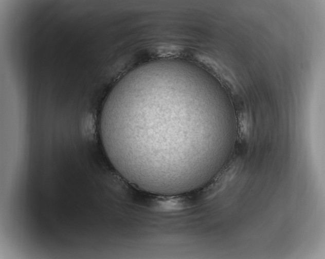 X0000102390667200808081229