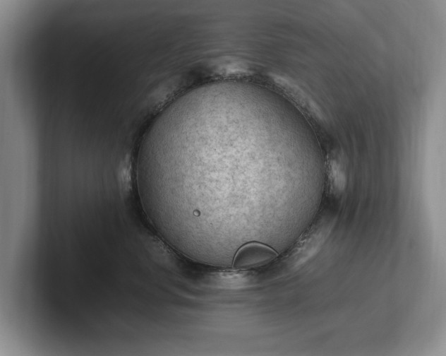 X0000102390668200808081229