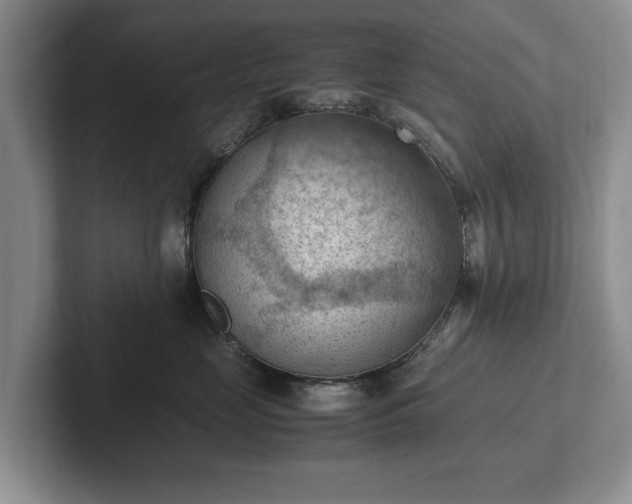 X0000102390669200808081229