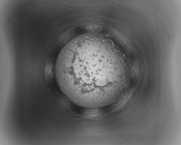 X0000102390671200808081229