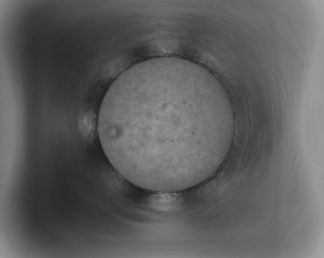 X0000102390672200808081229