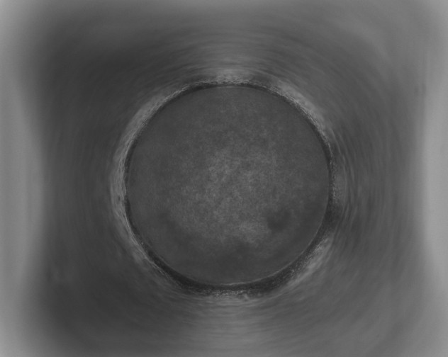 X0000102390673200808081228