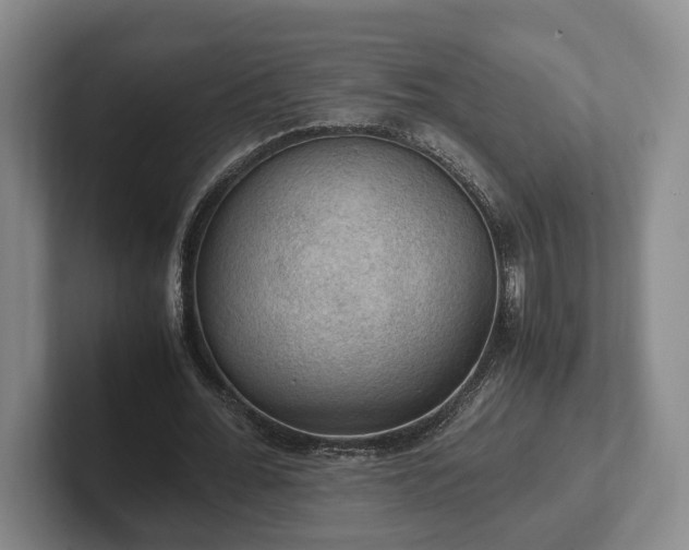 X0000102390676200808081228