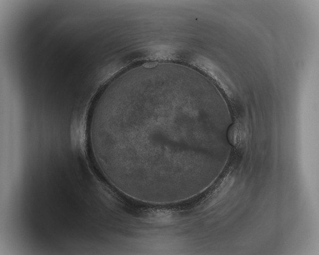 X0000102390677200808081228