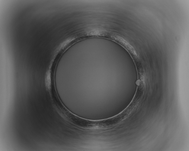 X0000102390678200808081228