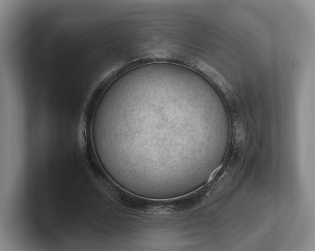 X0000102390680200808081228