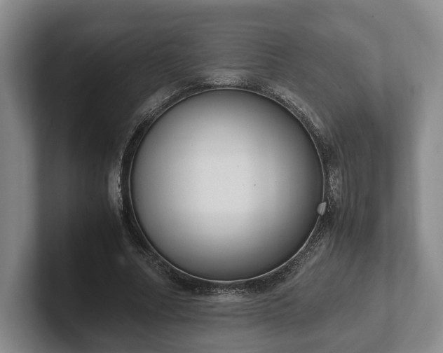 X0000102390682200808081228