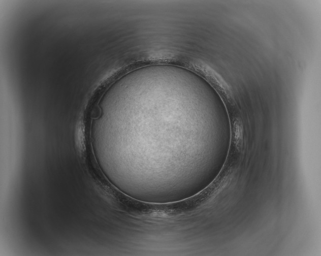 X0000102390684200808081228