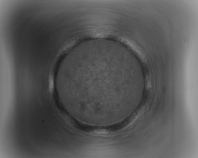 X0000102390685200808081227