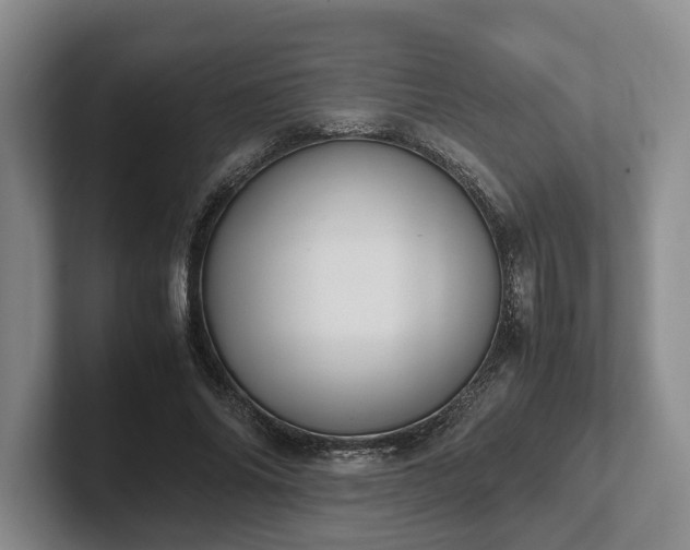 X0000102390686200808081227