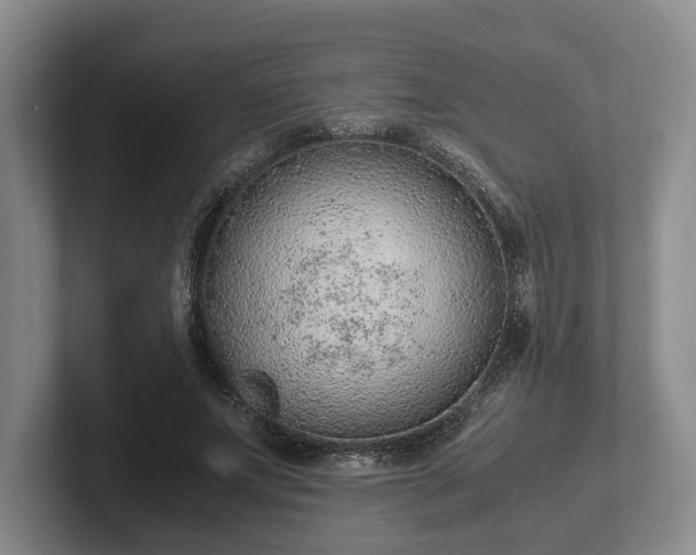 X0000102390687200808081227