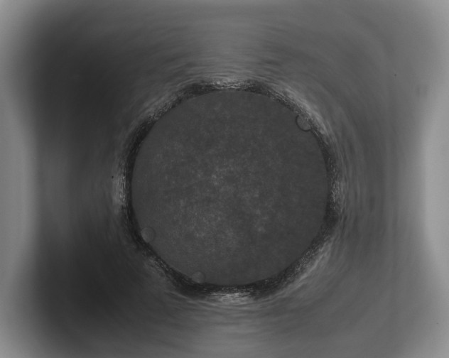 X0000102390689200808081227