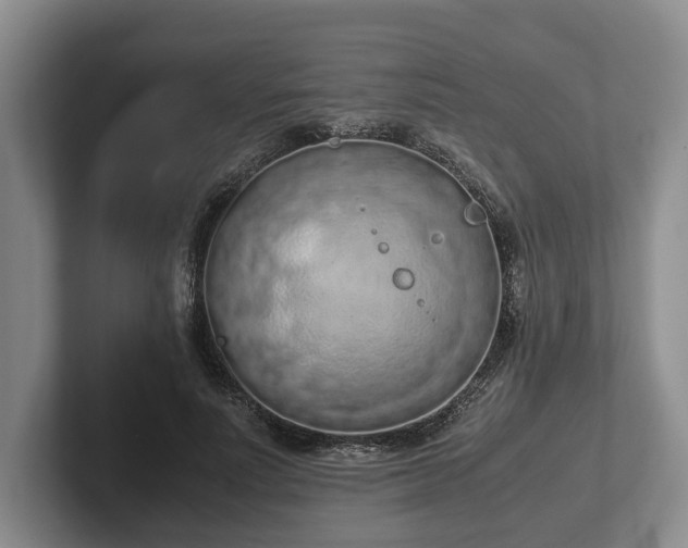 X0000102390691200808081227