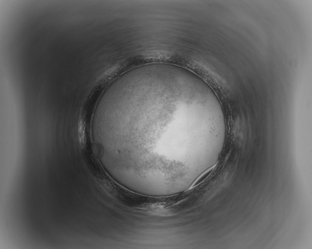 X0000102390692200808081227