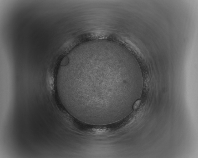 X0000102390693200808081227