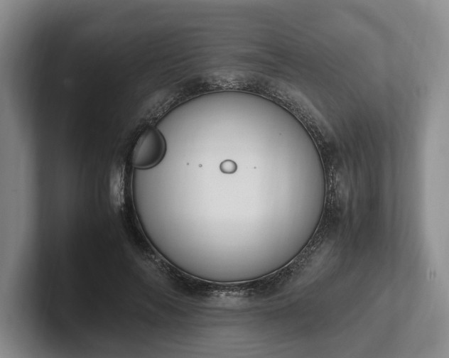 X0000102390694200808081227