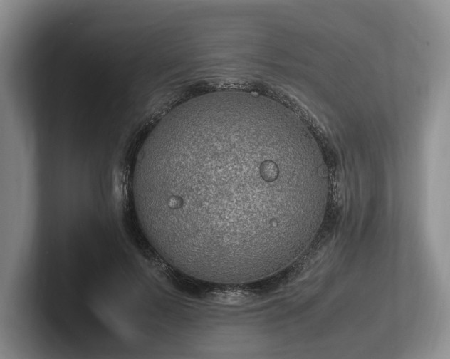 X0000102390695200808081227