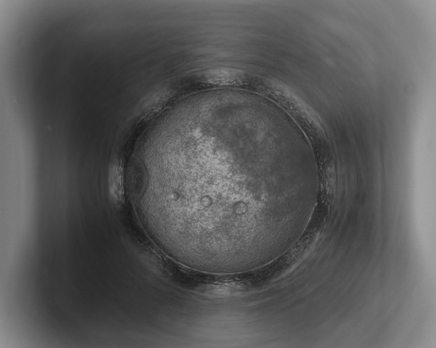 X0000102390696200808081227