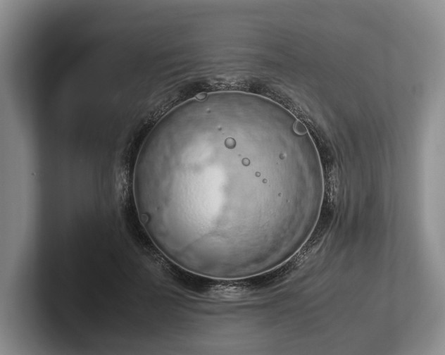 X0000102390699200808081227