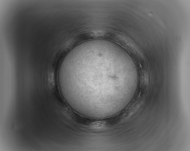 X0000102390700200808081227