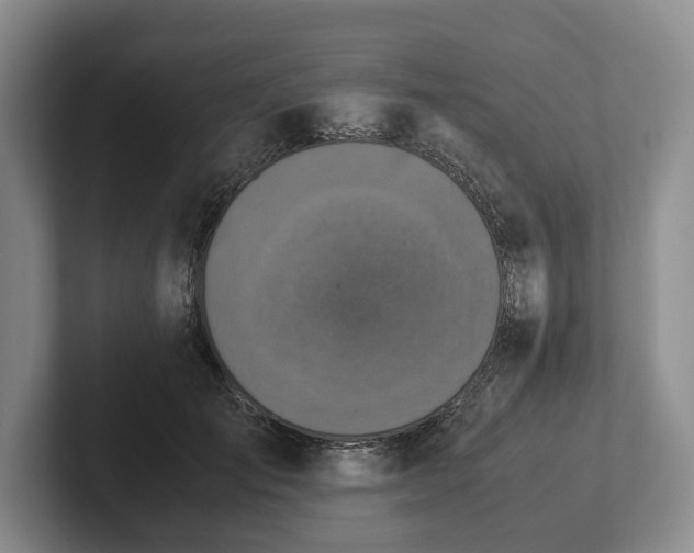 X0000102390701200808081227