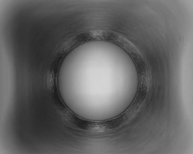 X0000102390702200808081227