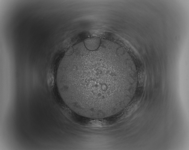 X0000102390703200808081227