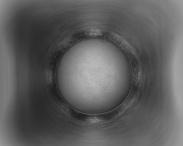 X0000102390704200808081227