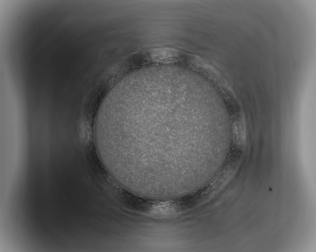 X0000102390705200808081227