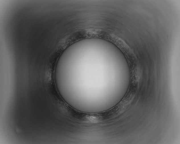 X0000102390706200808081227