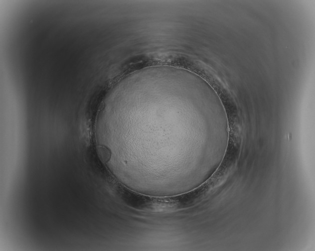 X0000102390707200808081227