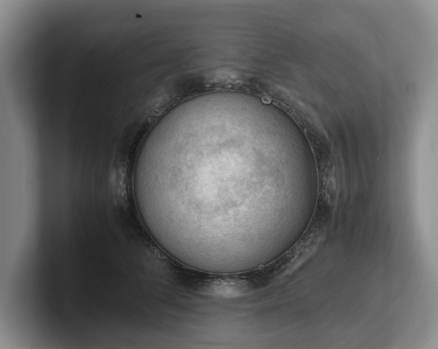 X0000102390708200808081227