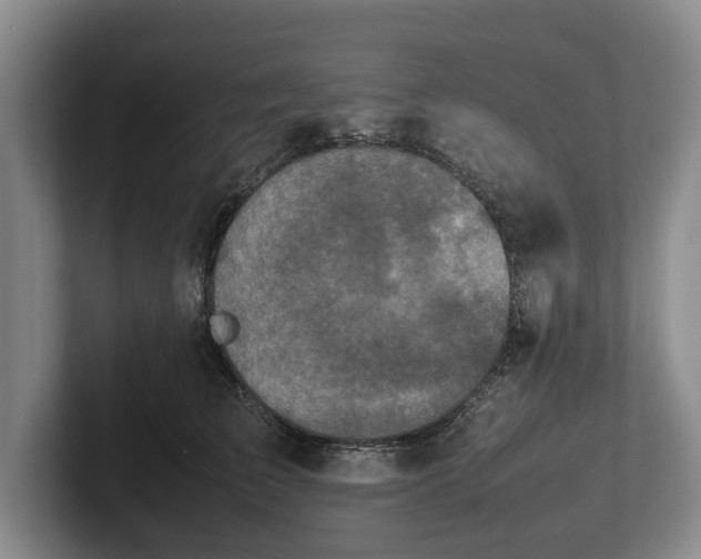 X0000102390709200808081227