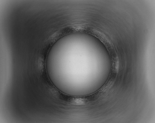 X0000102390710200808081227