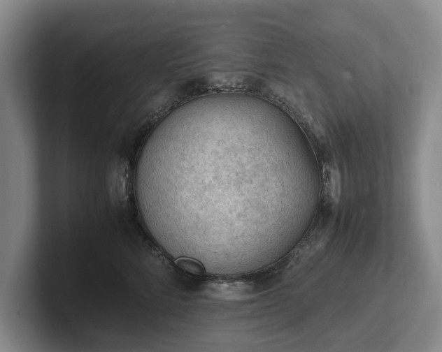 X0000102390712200808081227