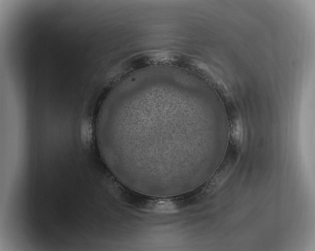 X0000102390715200808081227