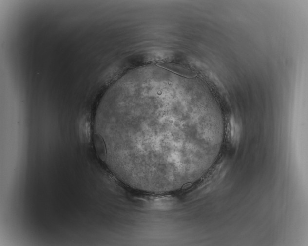 X0000102390716200808081227