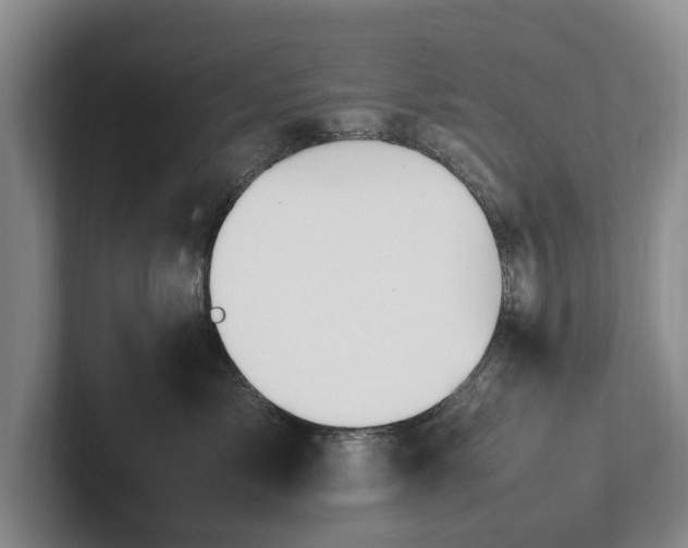 X0000102390717200808081227