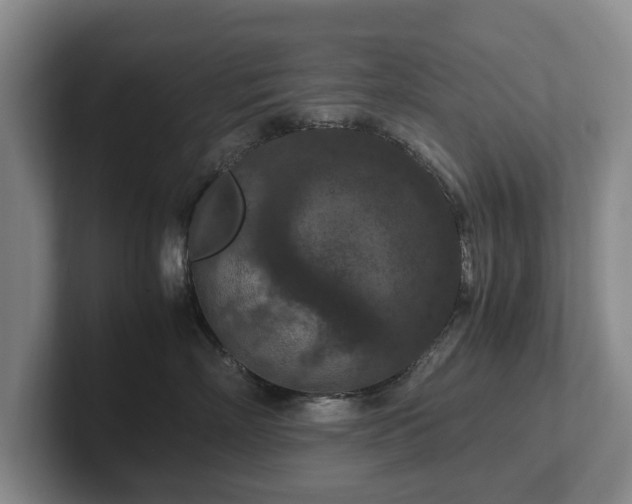 X0000102390718200808081227